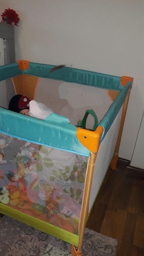 Box giordani jungle - box,